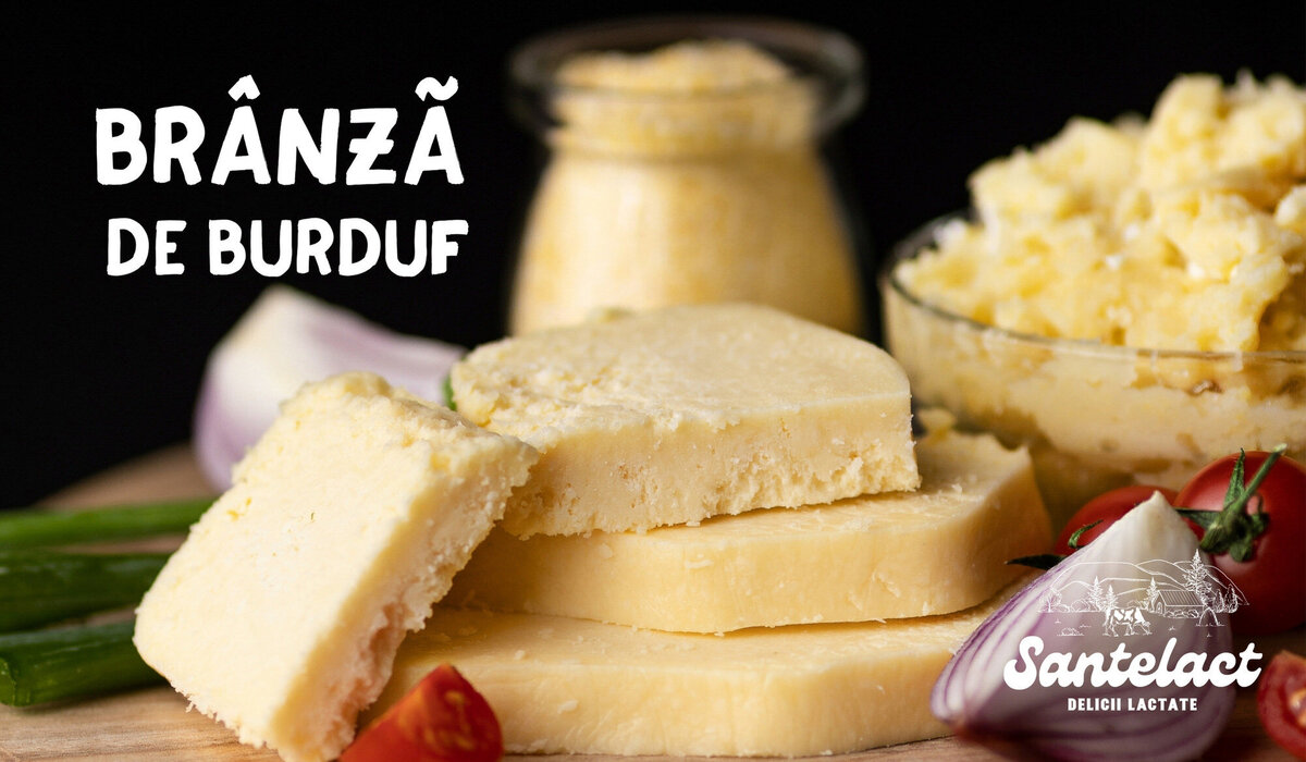 brand design for dairy company12