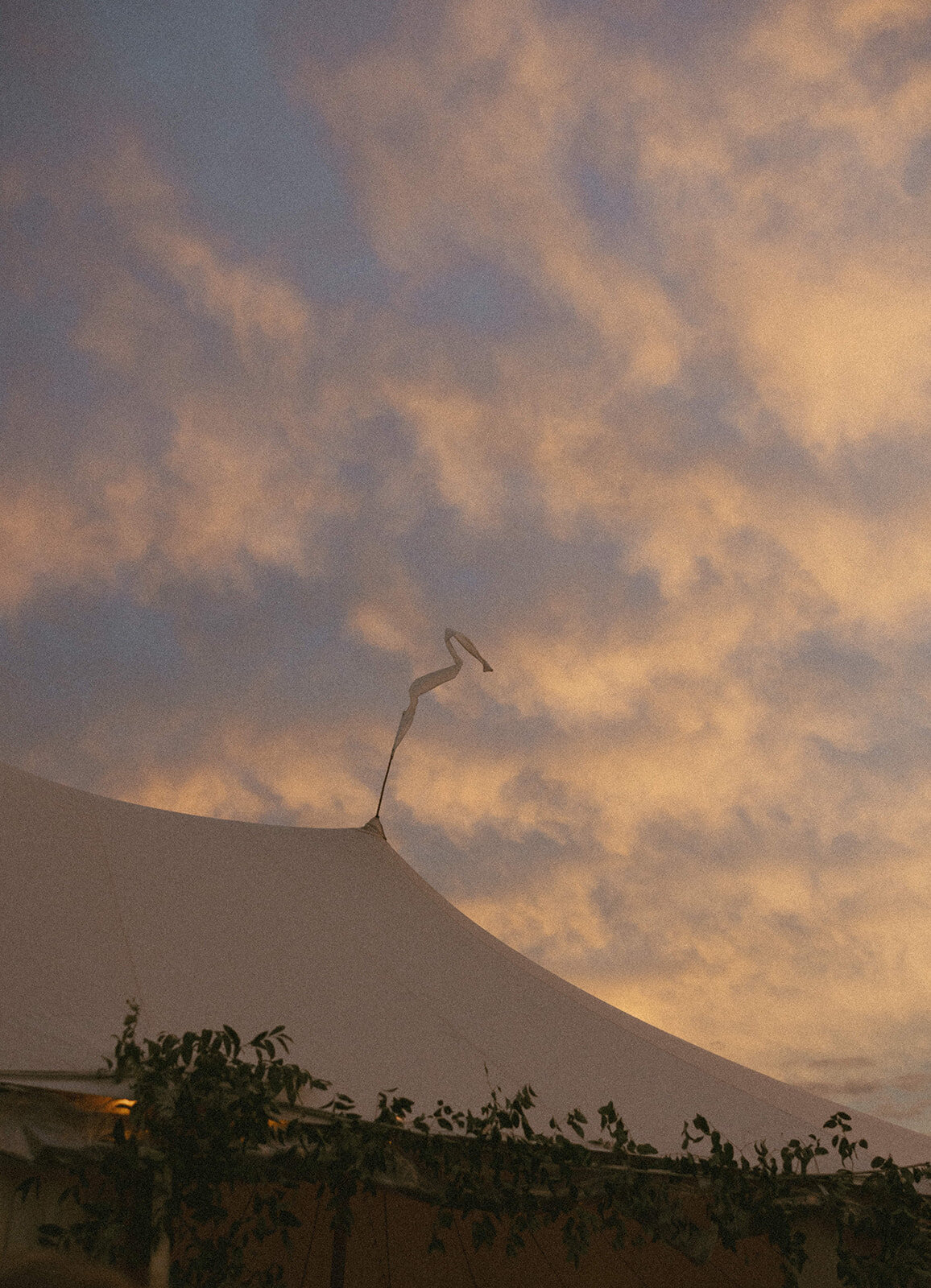porchianicolephoto-178