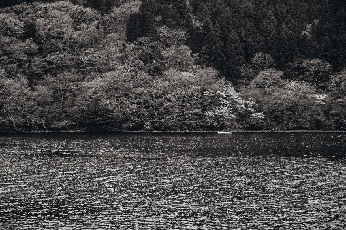 _BEC7054