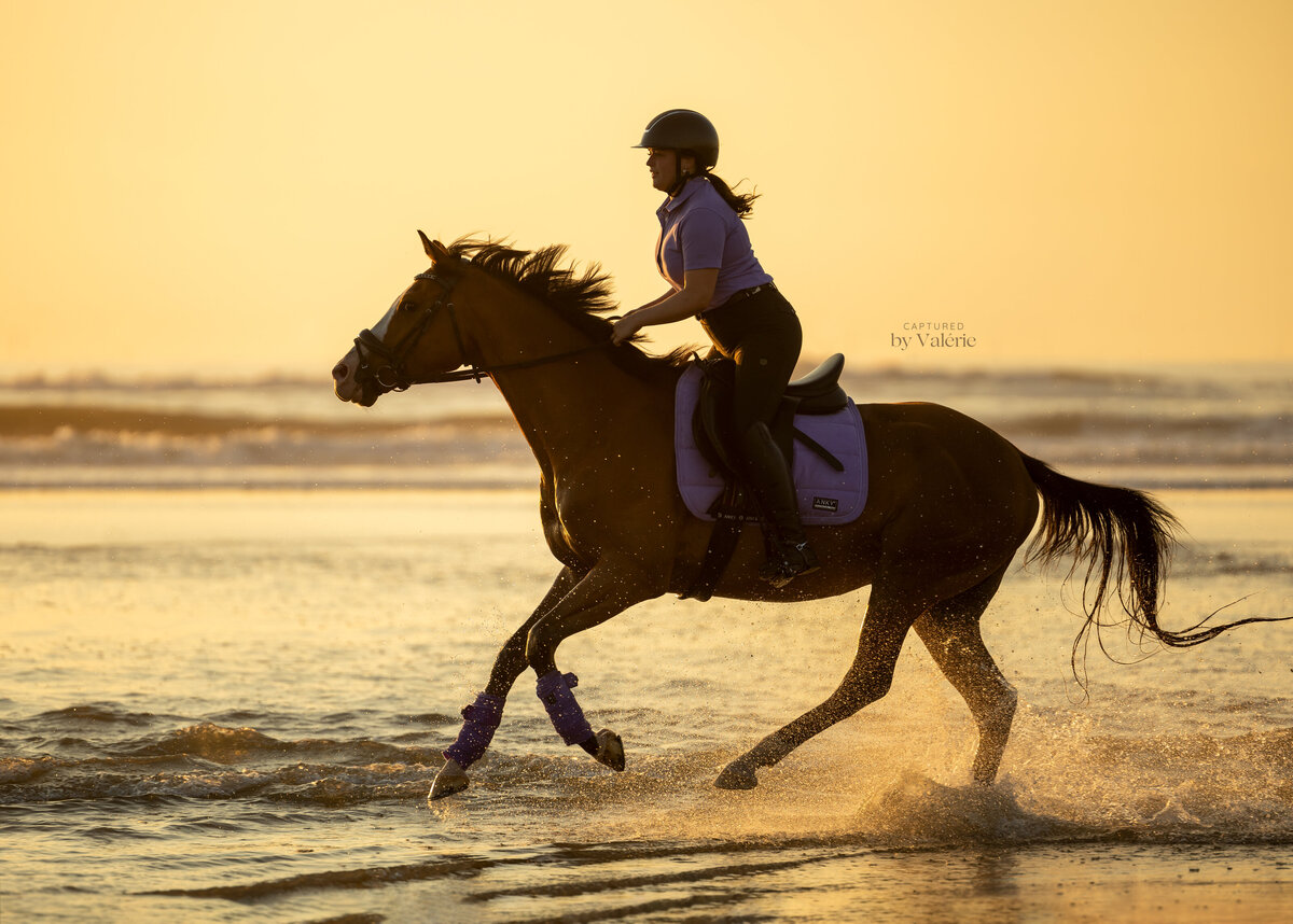 paard strand