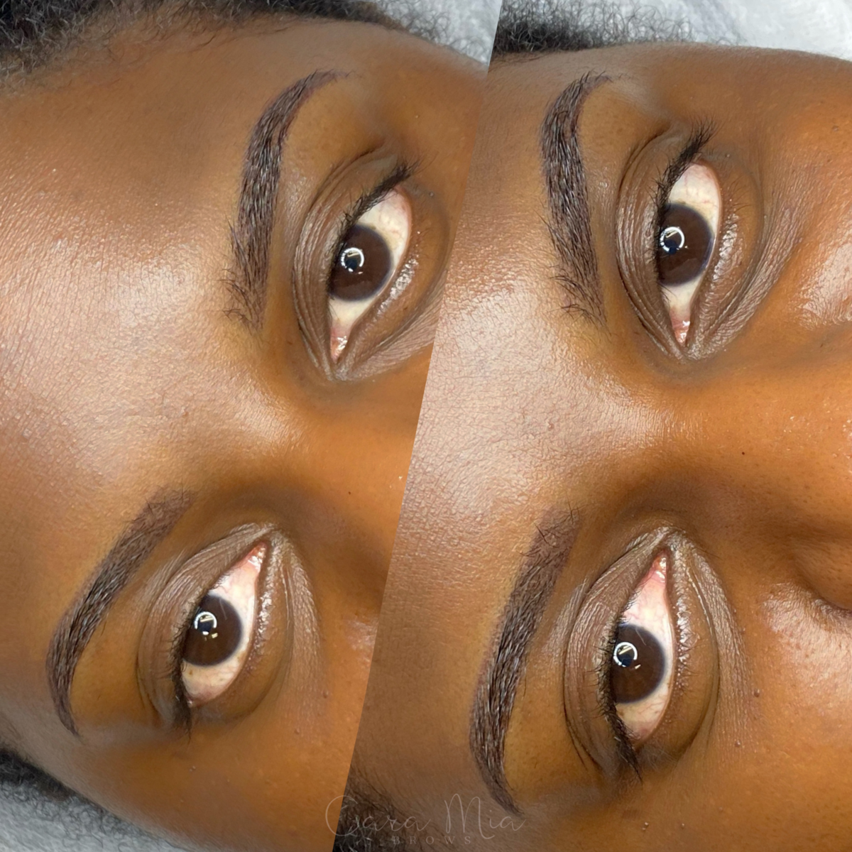 Ombre Powder Brows before and after