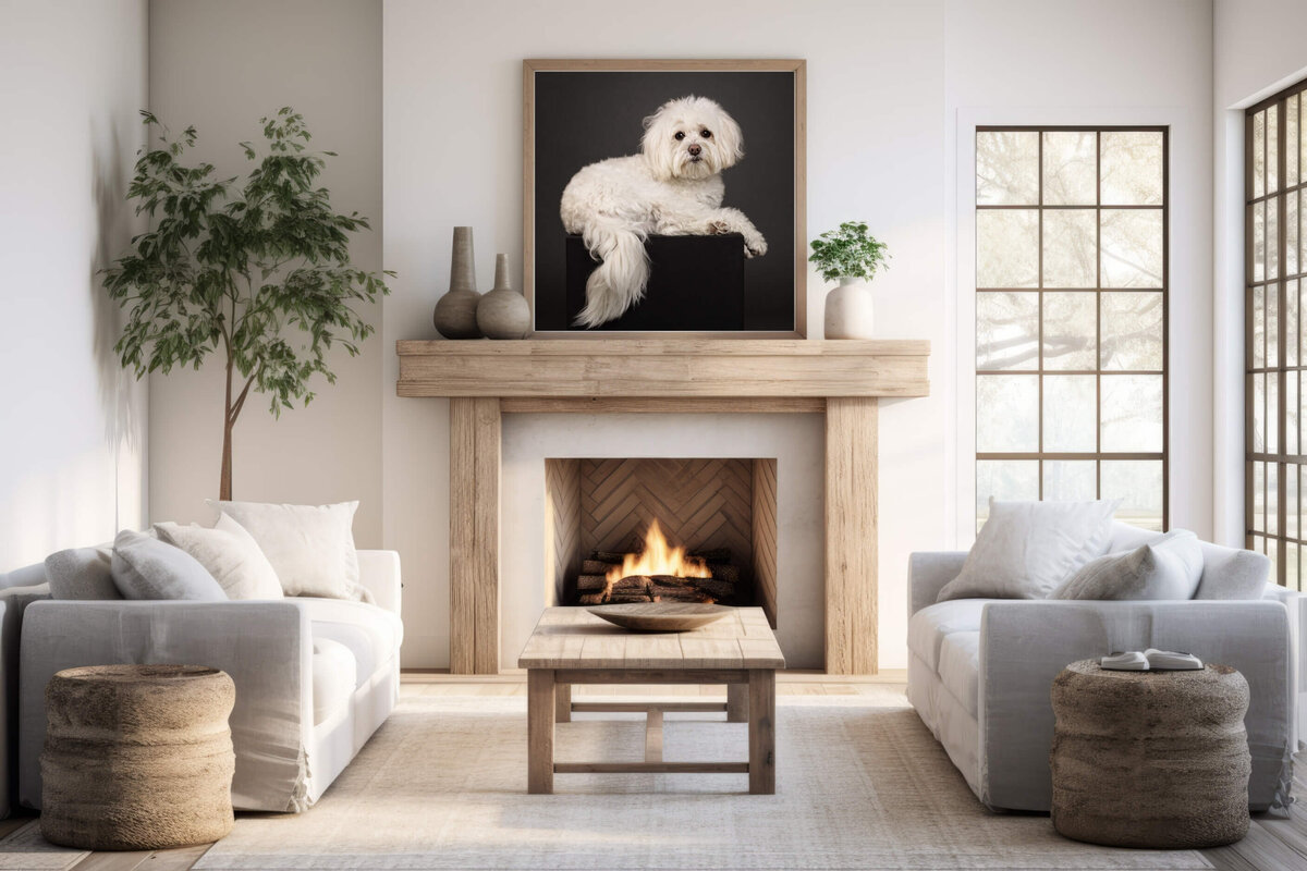 Frida-fireplace