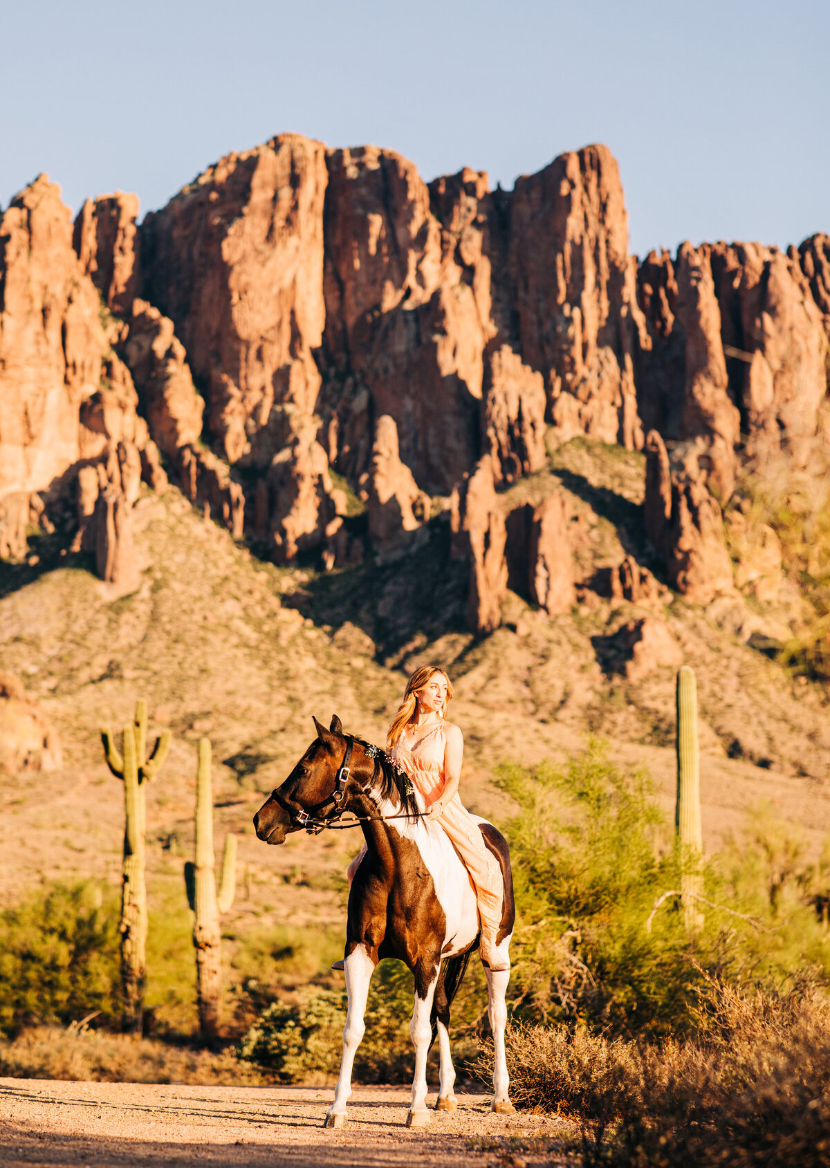 girl on colored horse in the desert