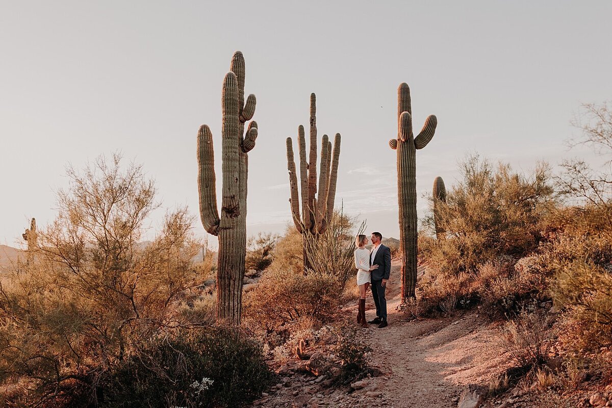couple stand together between 3 saguaro cactuses in the superstition mountains