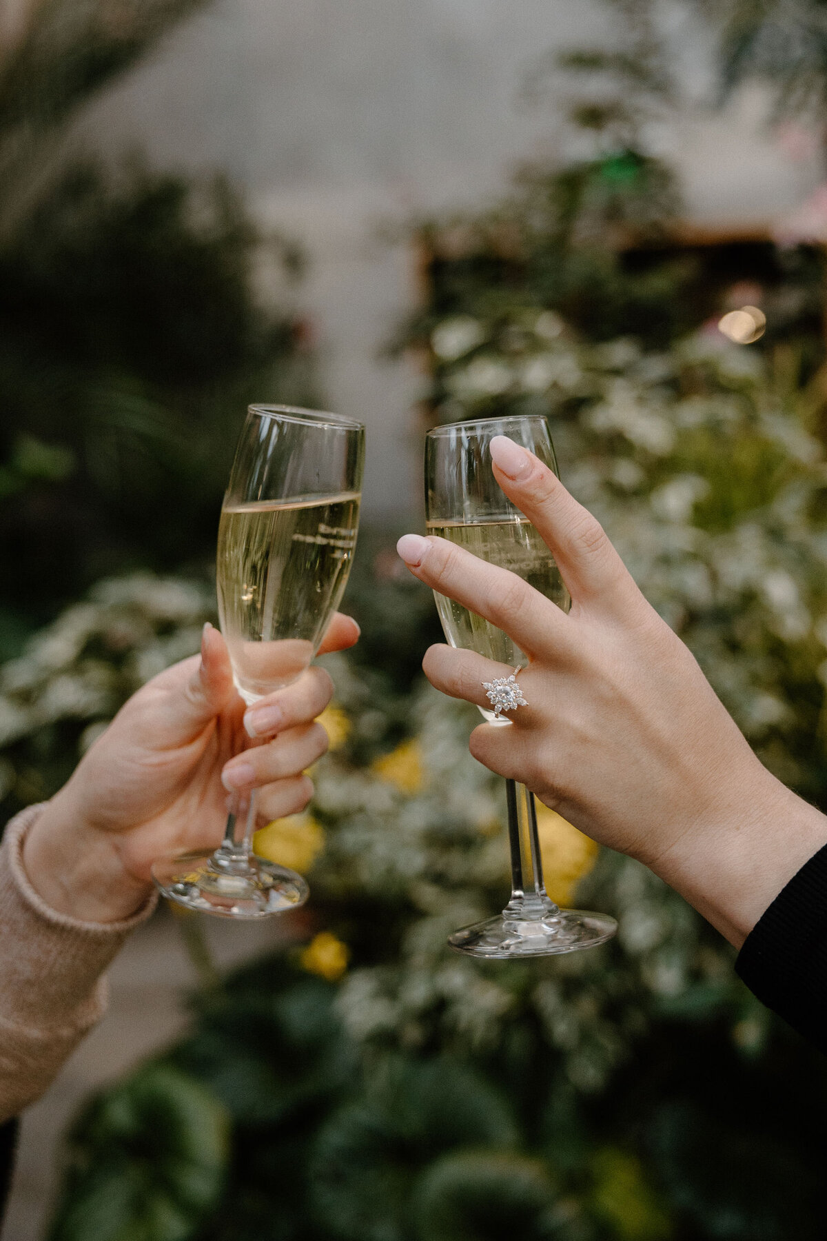 two hands toasting with champagne