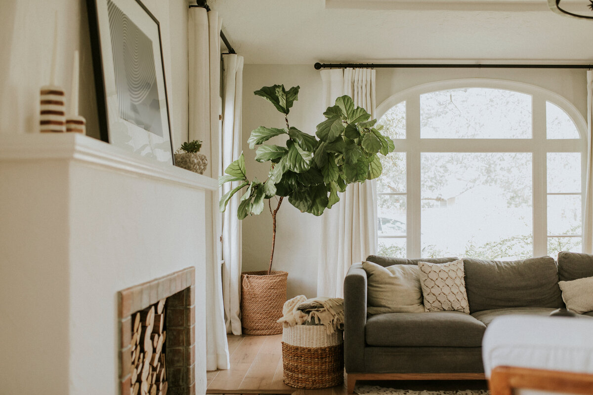 ABBOTSFORD HOME CLEANERS - ABBOTSFORD WEB DESIGNER