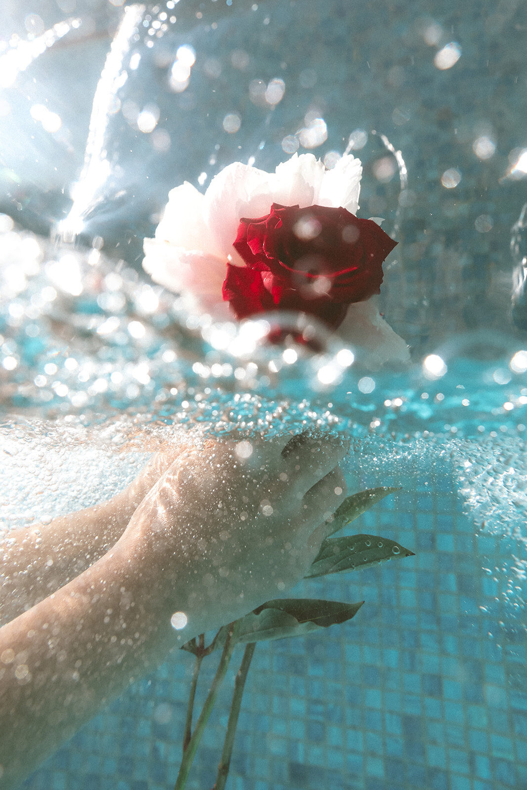 creative branding photoshoot-underwater series-07