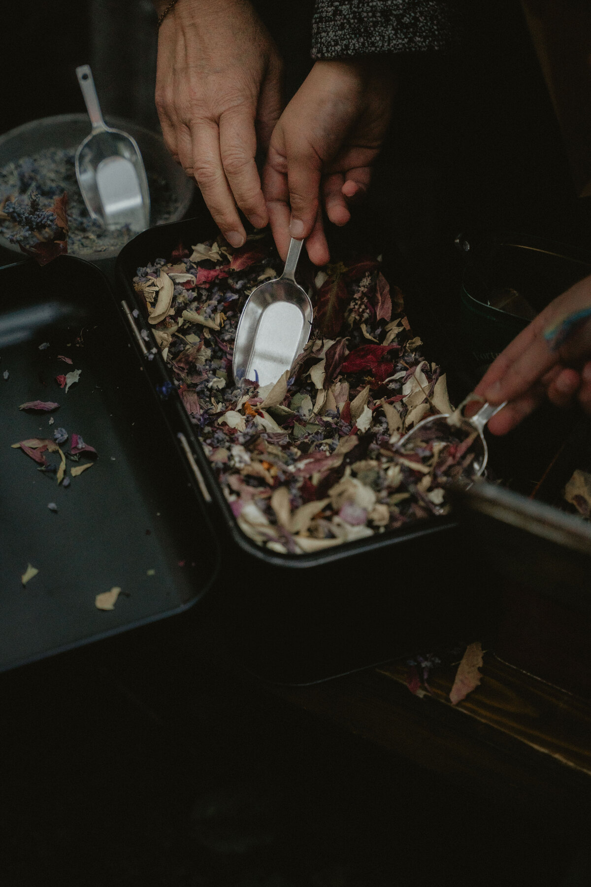 ElinJoakim-12okt2024-269