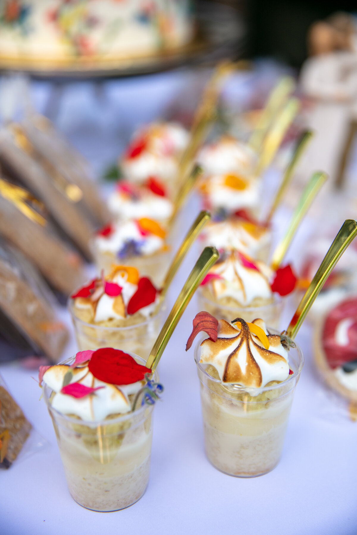 AnacaCody_Wedding_083