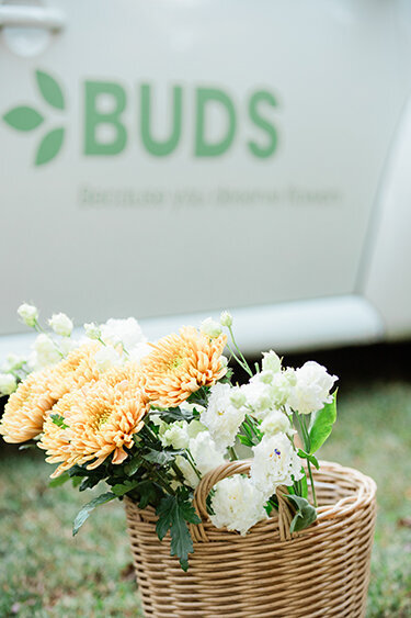 Horn Photography & Design Buds - 0022_