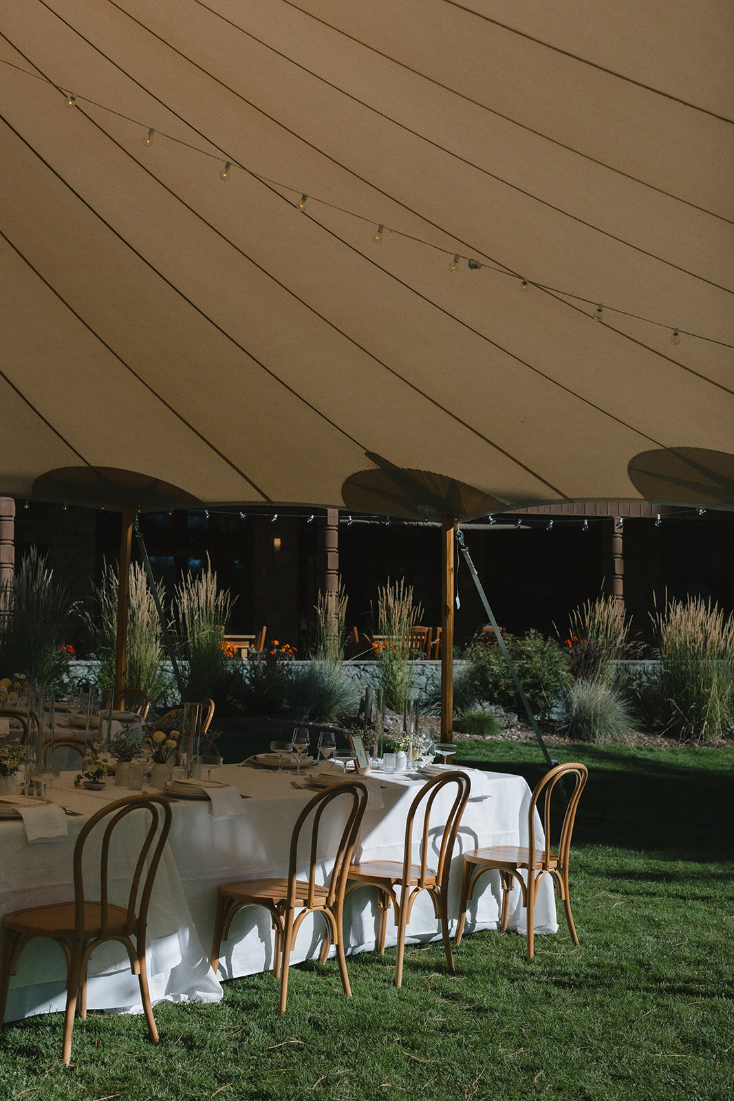 andrew-tiffany-reception-details-olive-and-oath30