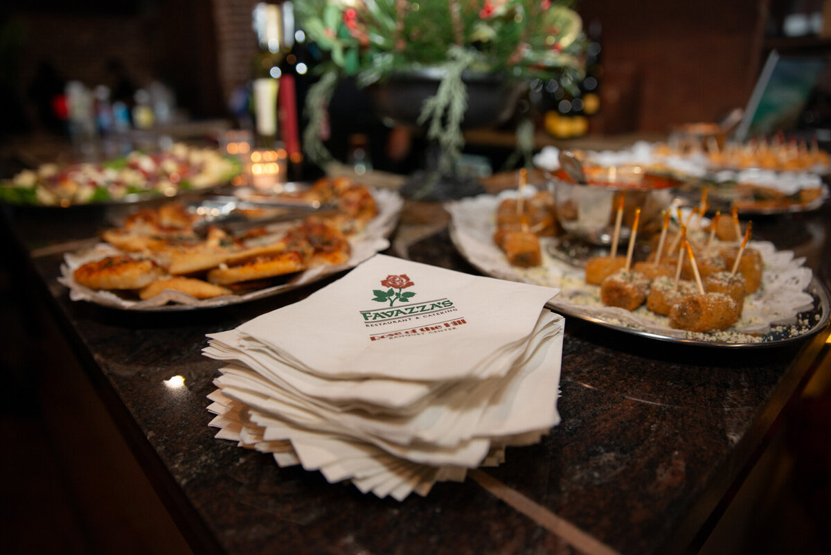 troy missouri, st louis missouri, concert and event photographer