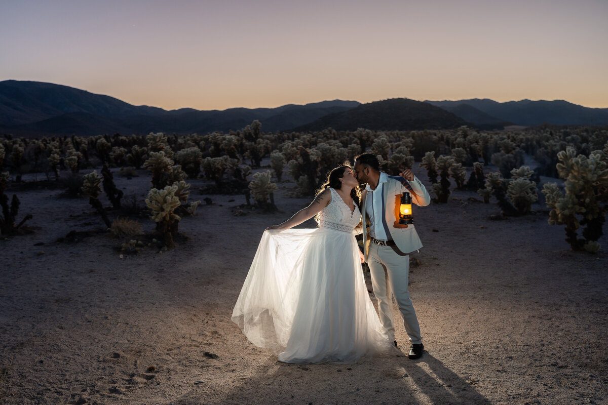 Epic Joshua Tree Elopement photo with Bride and Groom at Cholla Cactus Garden using OCF and Lantern