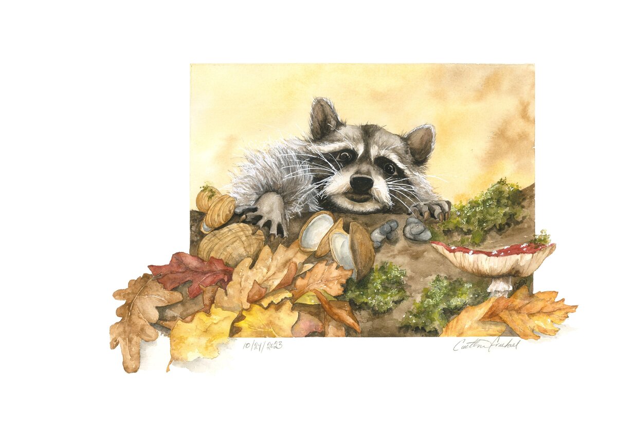 #20 'Raccoon Shuffled In'