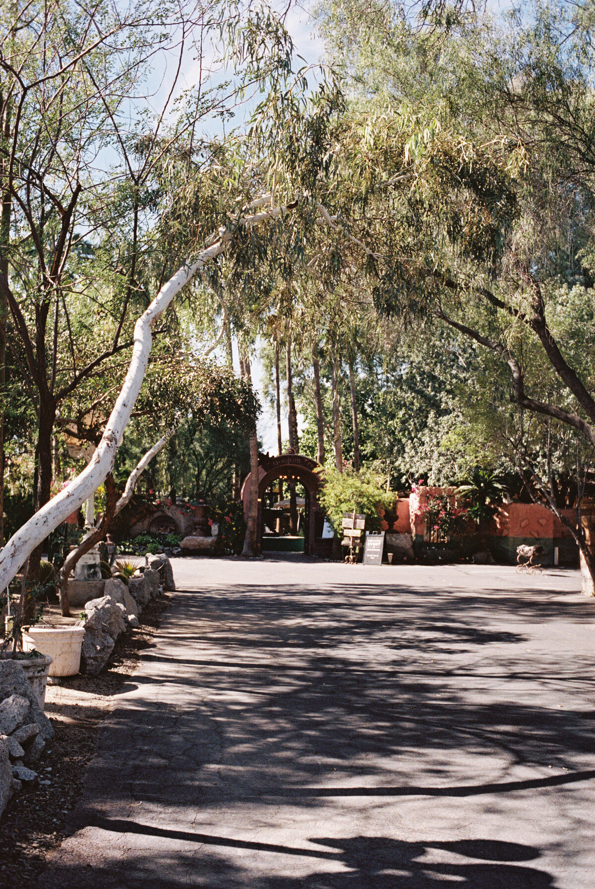 Arizona Wedding Photographer (2 of 102)