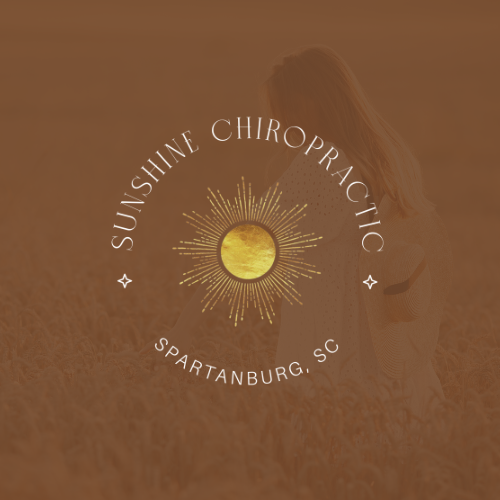 HP - Custom Chiropractic Logo Designs Service