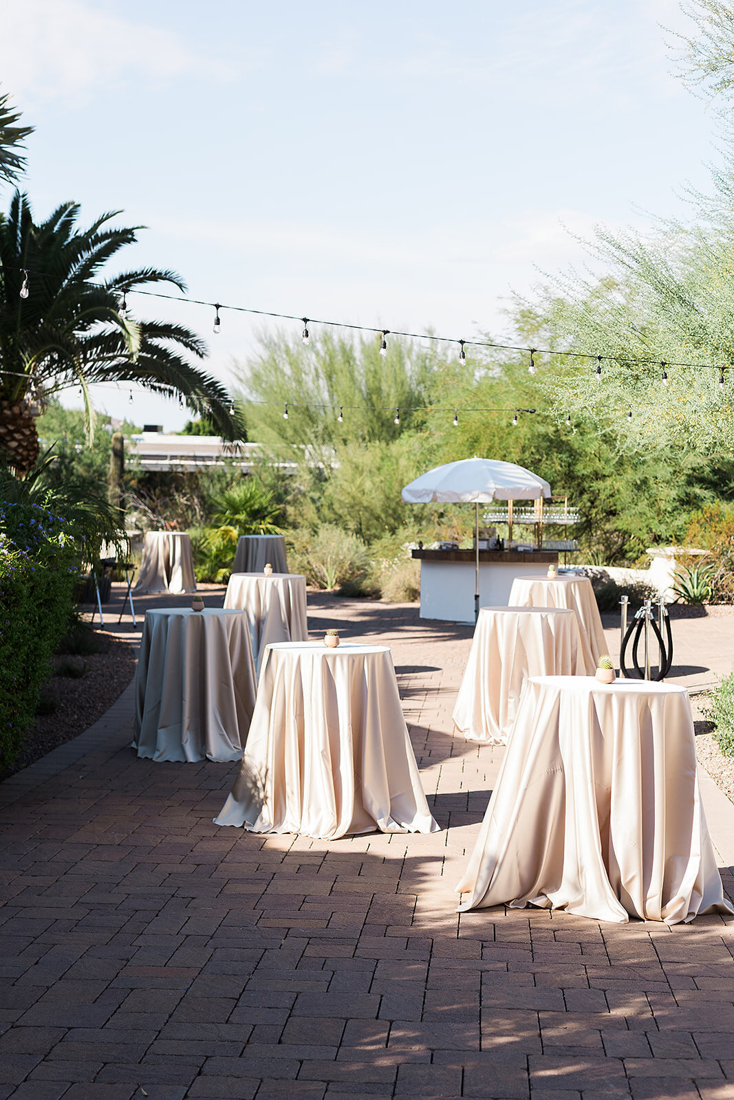 Scottsdale Wedding - Tara Nichole Photo - 2023 - Kenna and Harrison-164