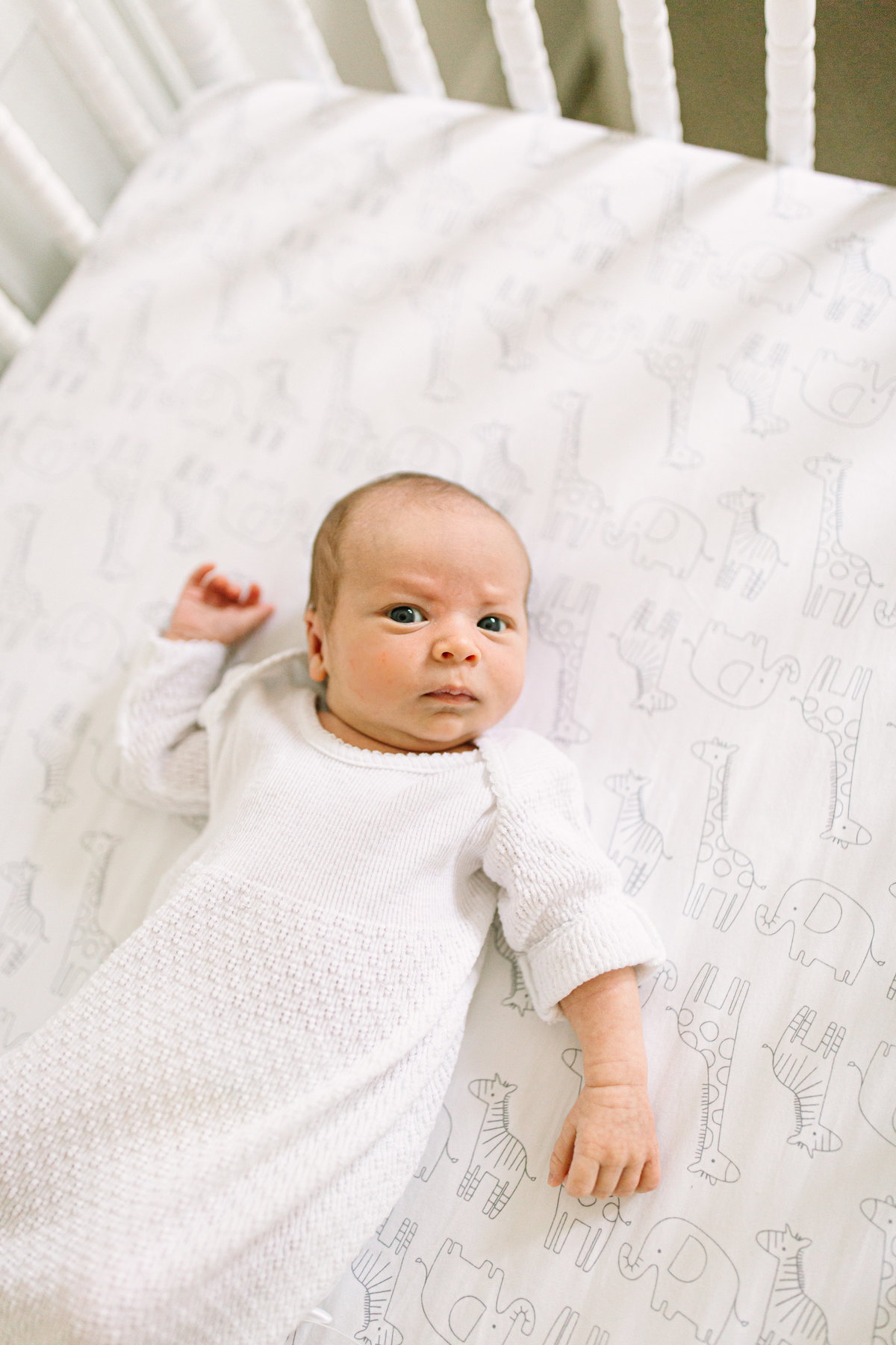 Newman Newborn Session-79