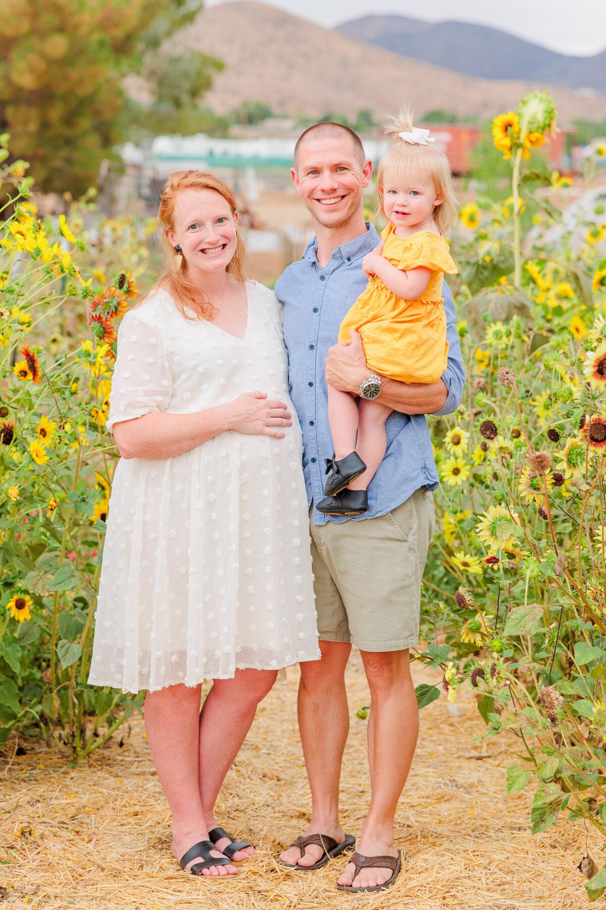 Aronoff Family Net Worth 49 - 1pv7uky