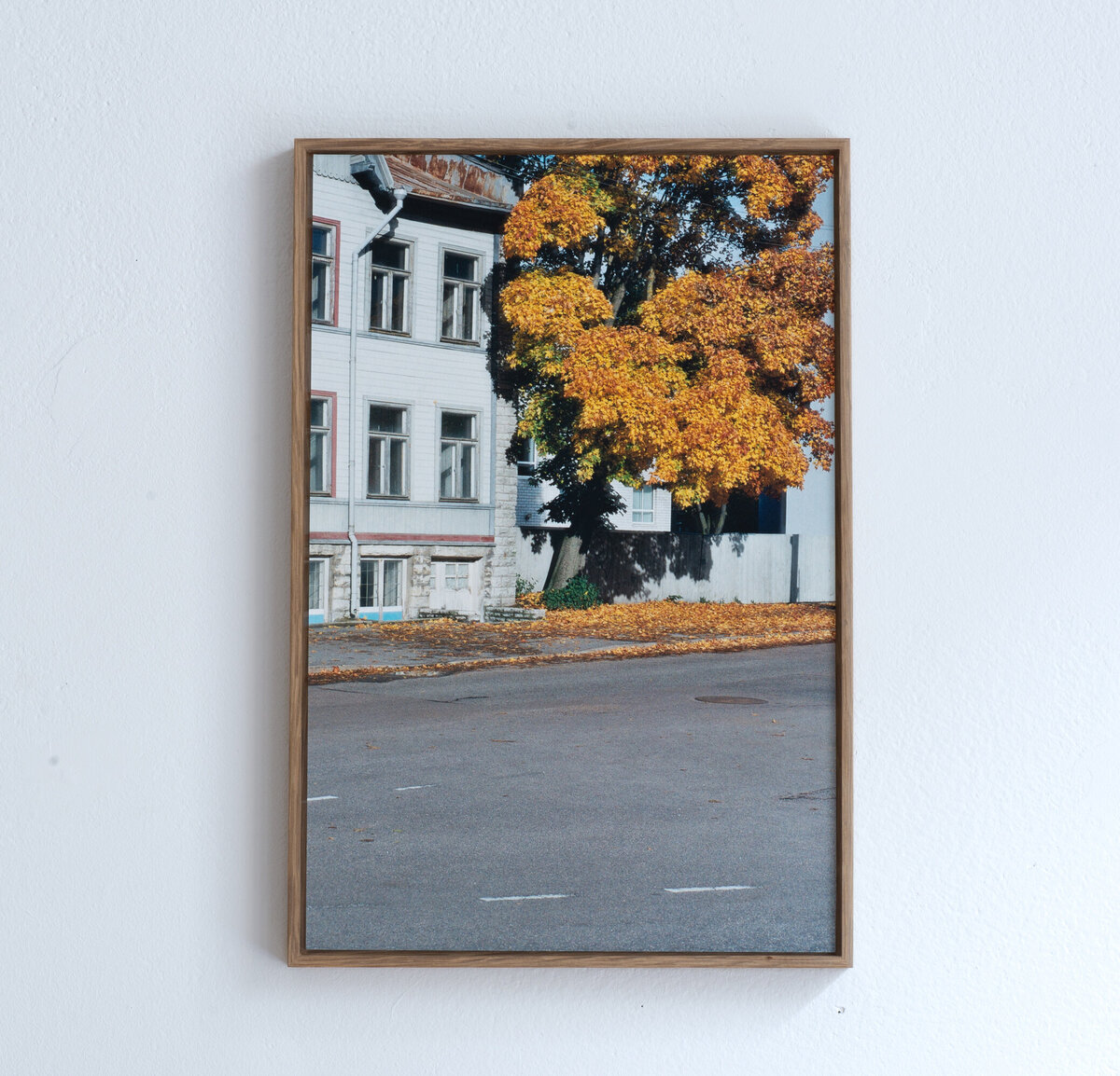 Framed_Bloesem