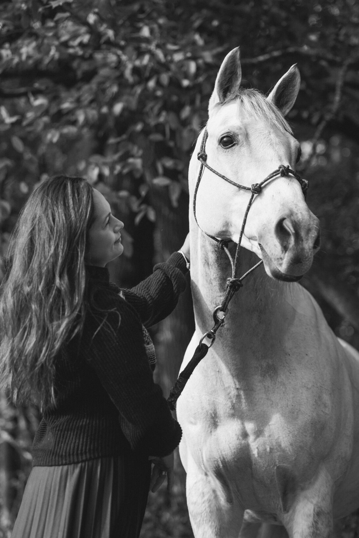 equestrian-photographer-saratoga-ny-160