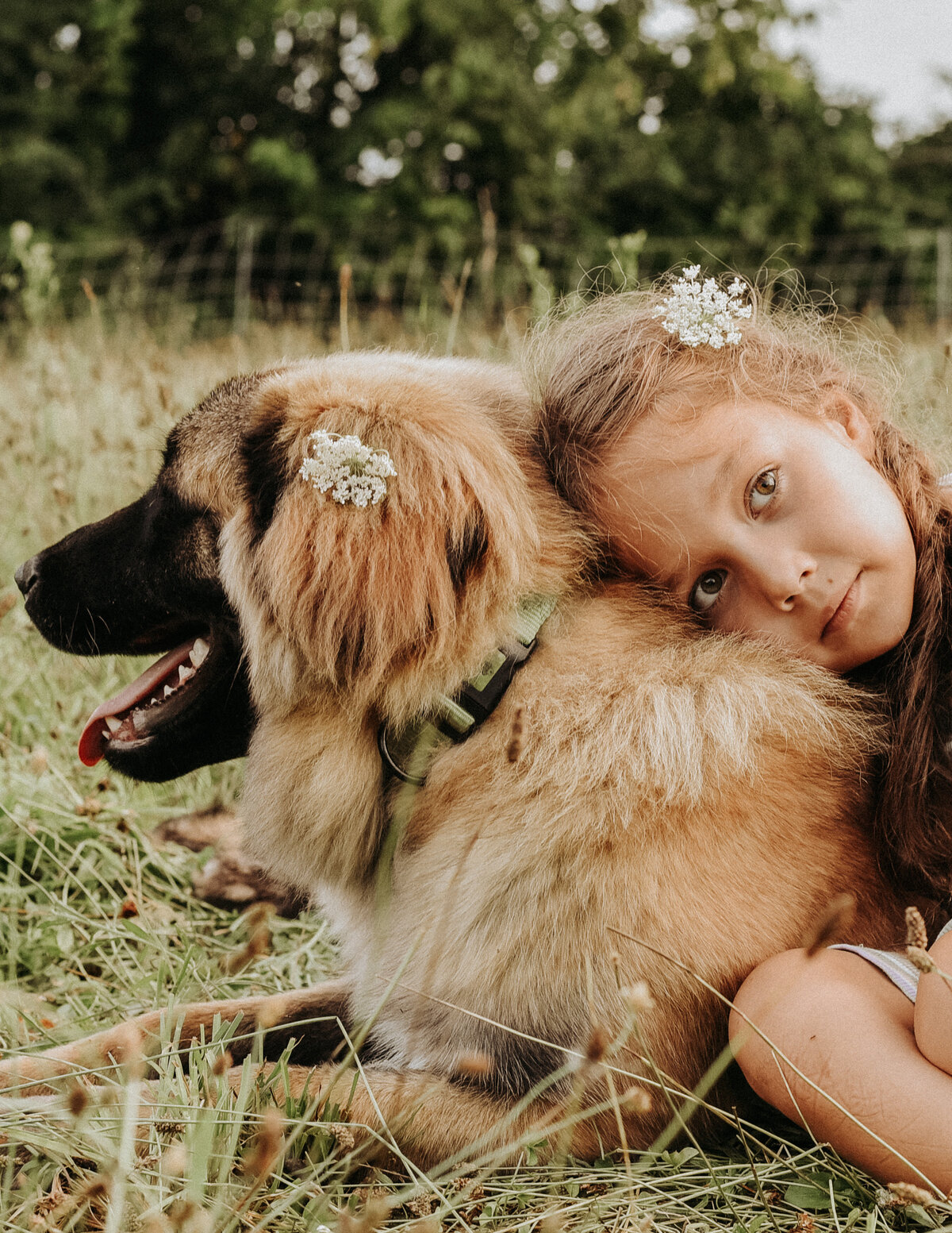 Estrela Mountain Dog with child-11