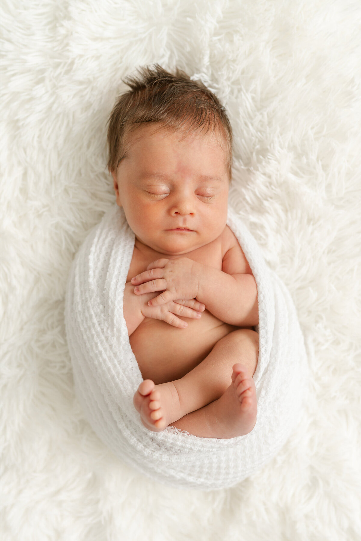 san-francisco-bay-area-newborn-photographer-2