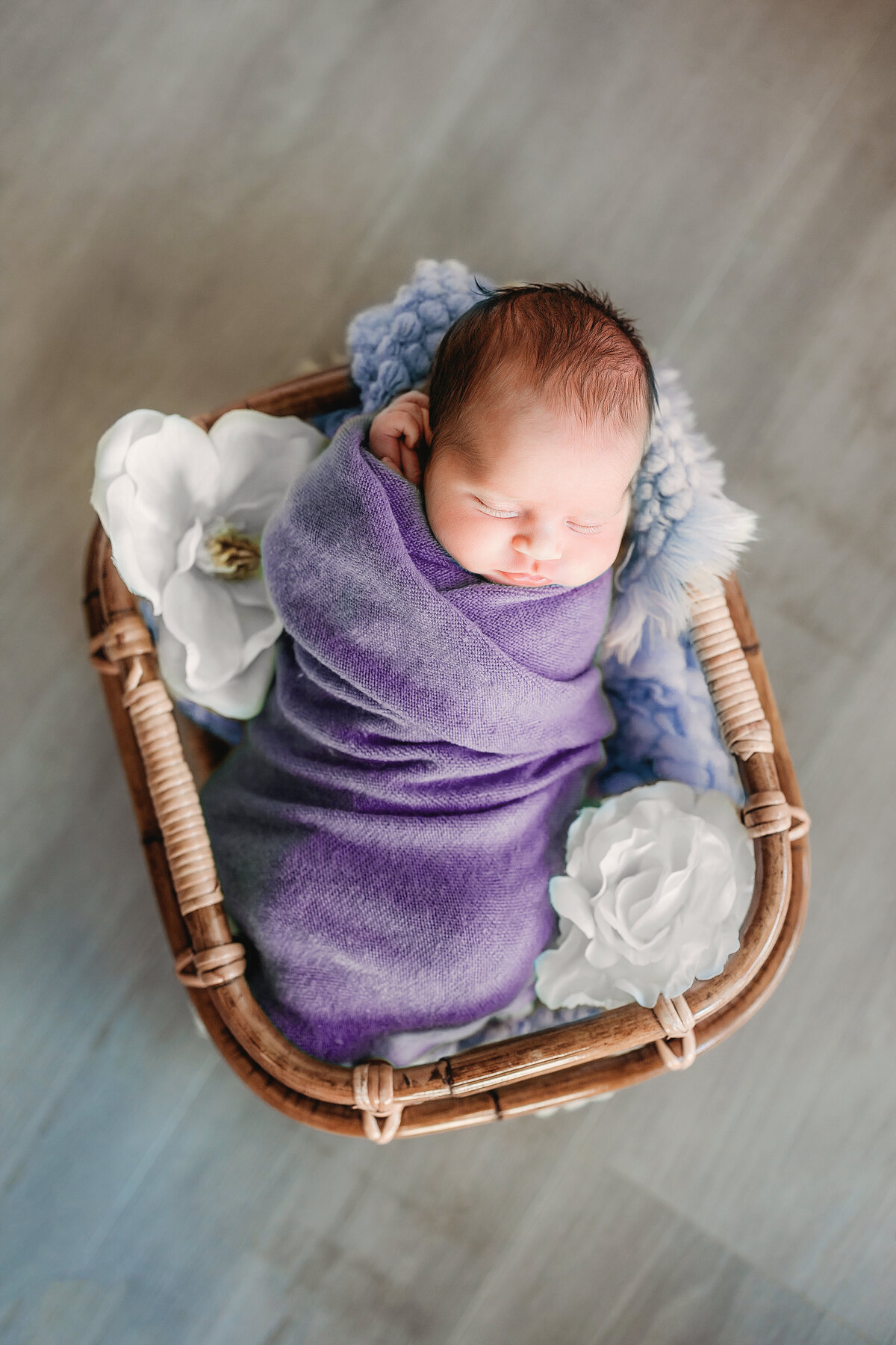 massillon ohio newborn photographer