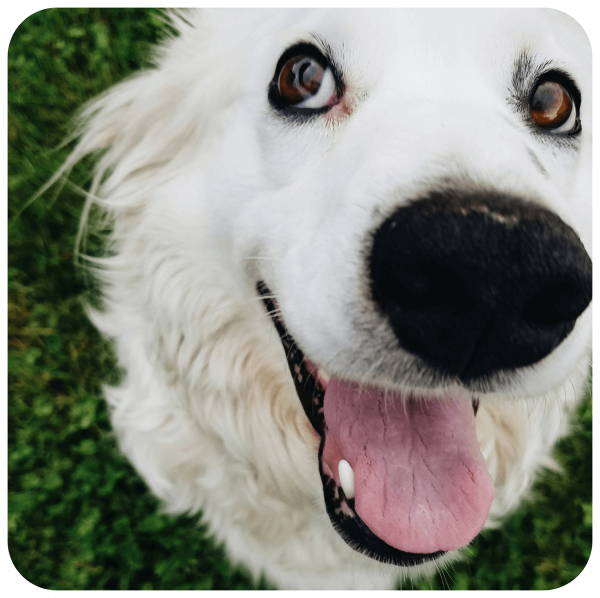 attaboys-and-attagirls-12