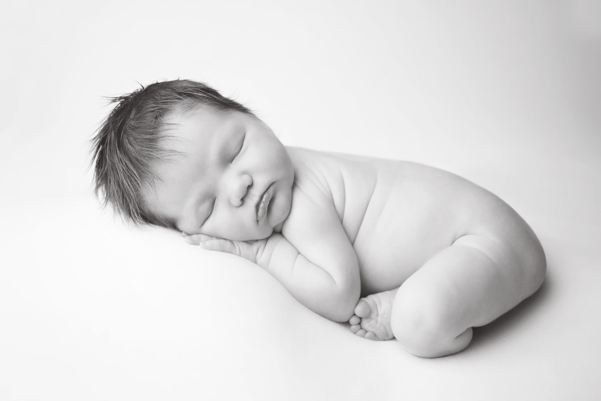 mainline newborn photographer 26