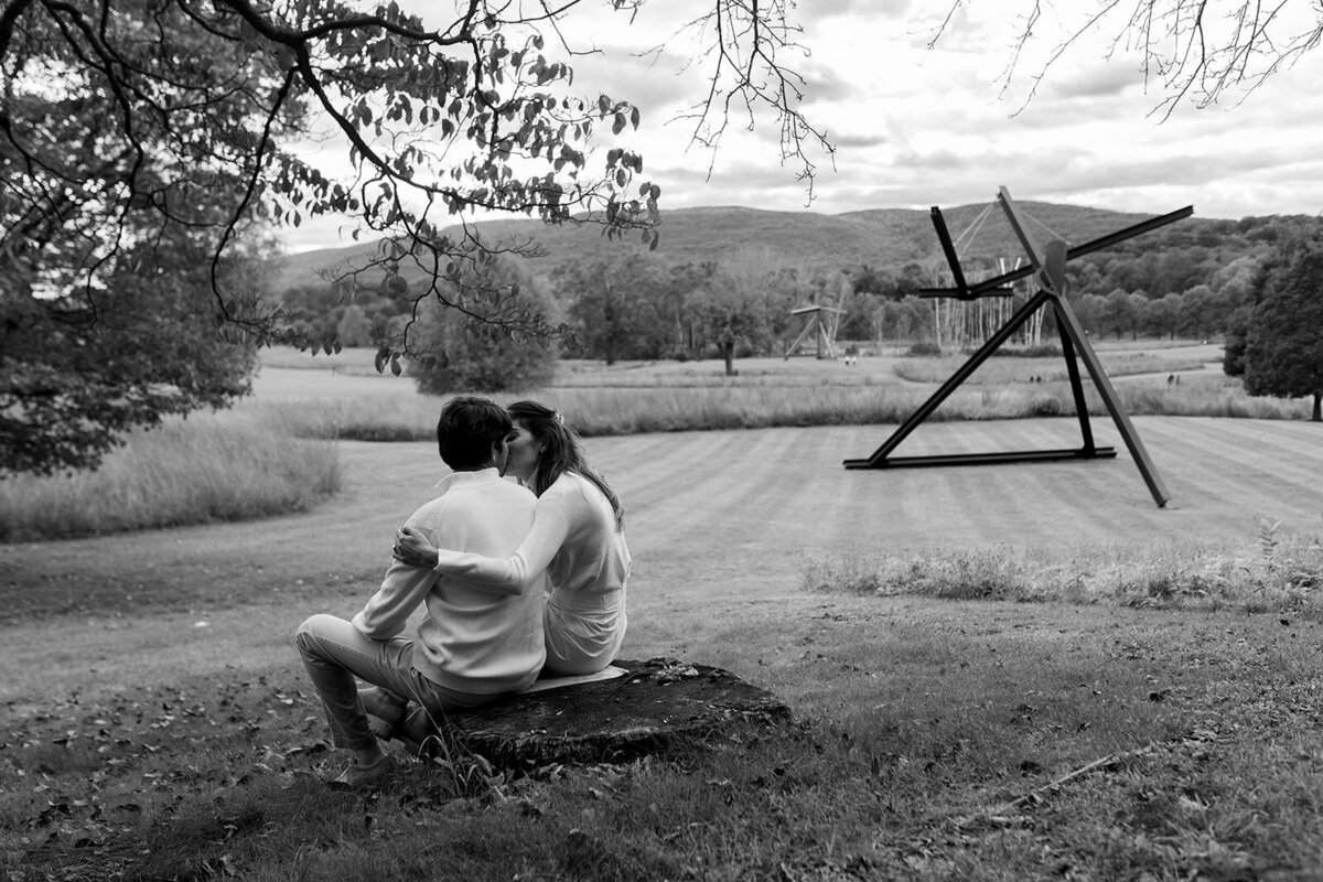 engagement-storm-king-art-museum-31_websize