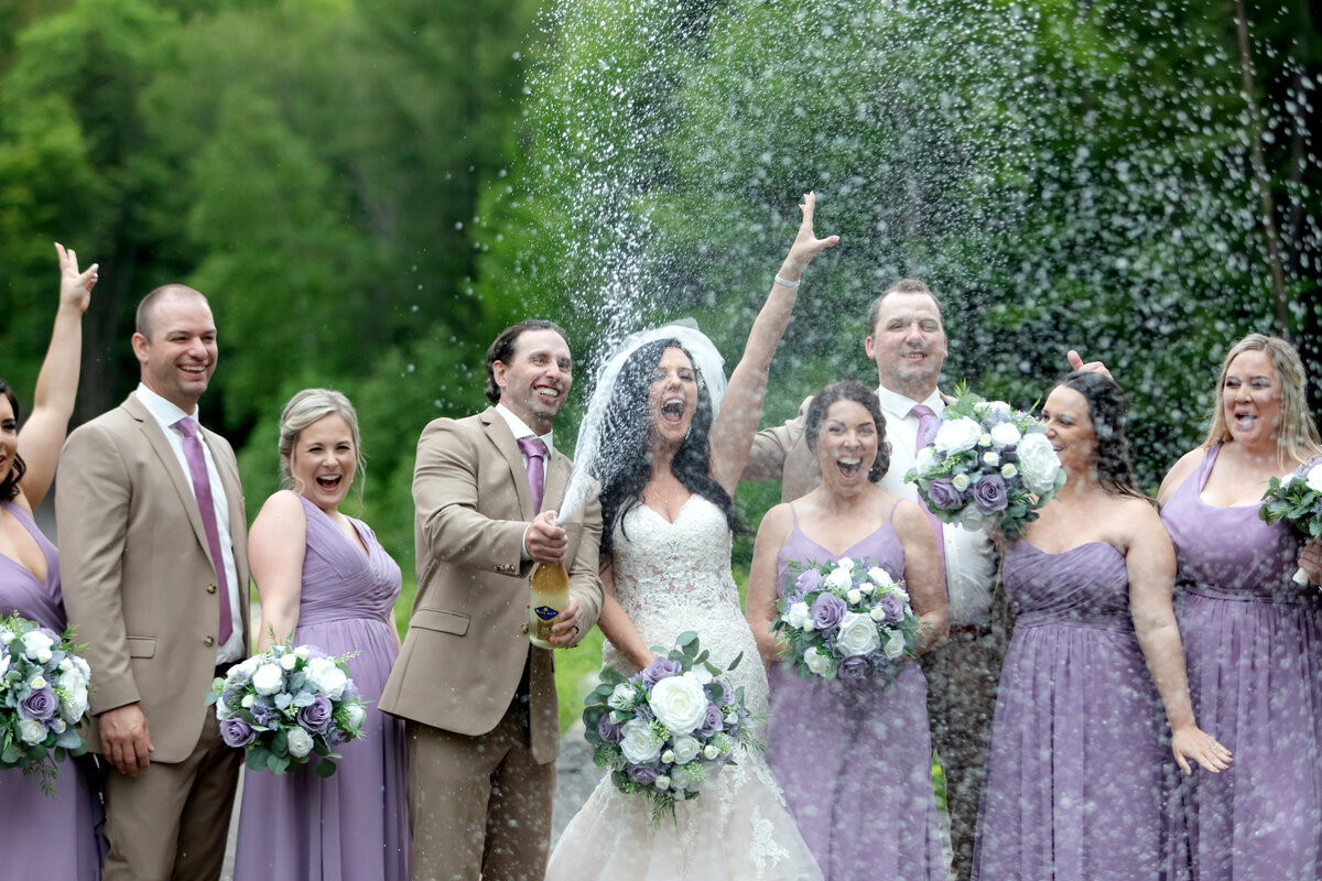 wedding party 