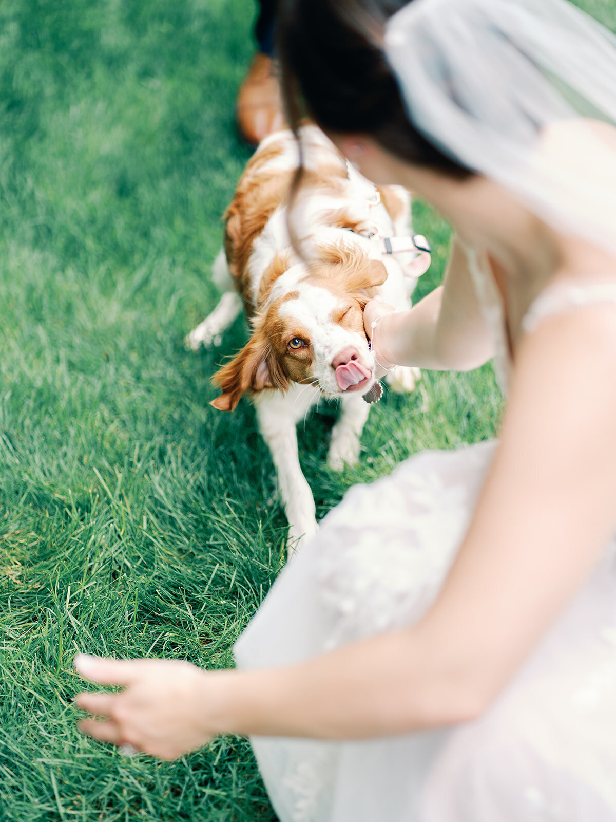 A+E_The Parlour at Manns Chapel_Chapel Hill NC_Luxury_Wedding_Photo_Highlights_Skyler Jordan Photography-142