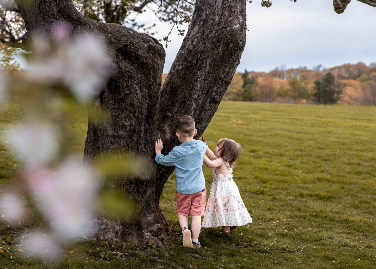 two toddlers with an apple tree in Litchfield Connecticut