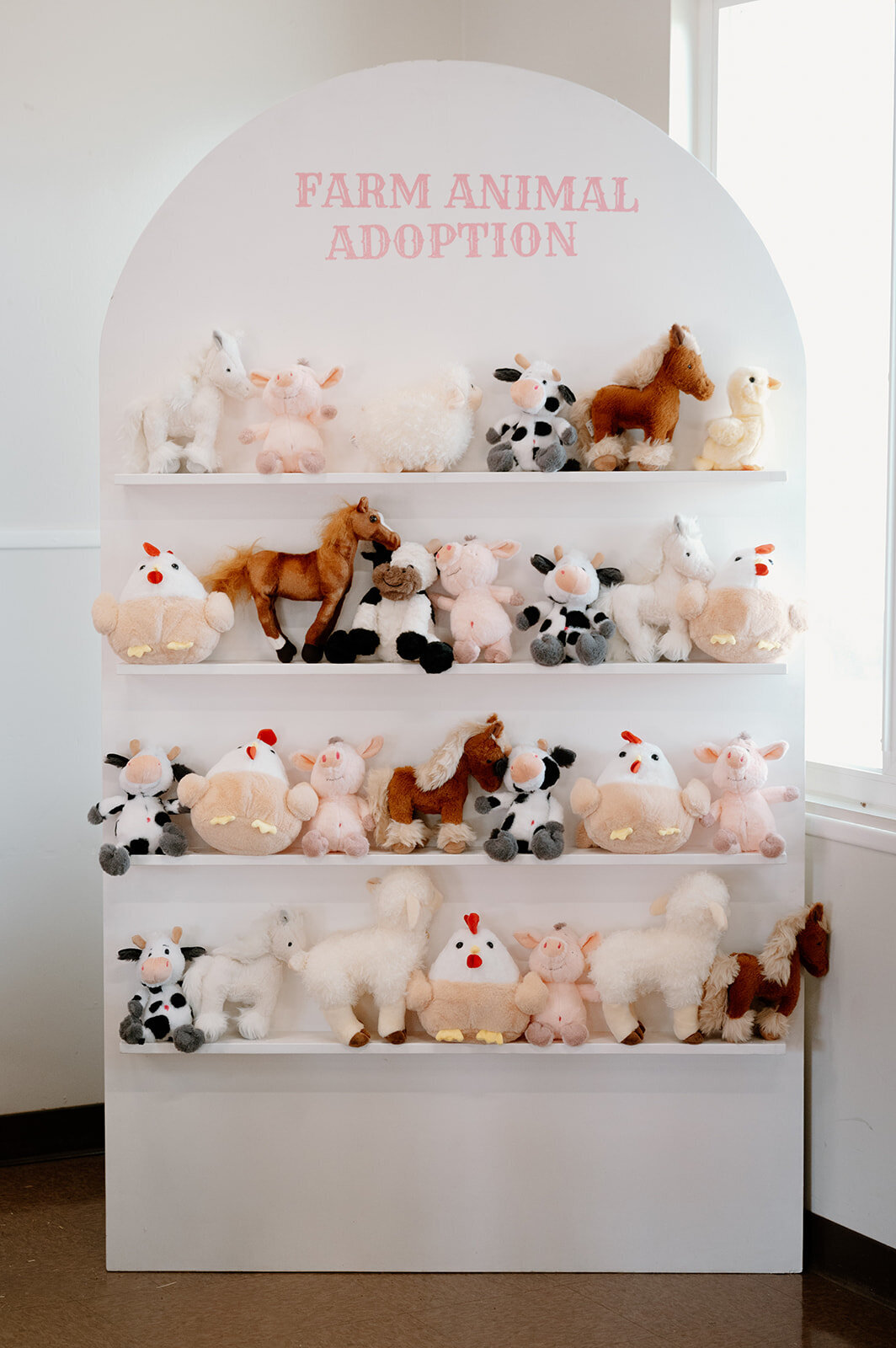 First Rodeo Kids Birthday Party