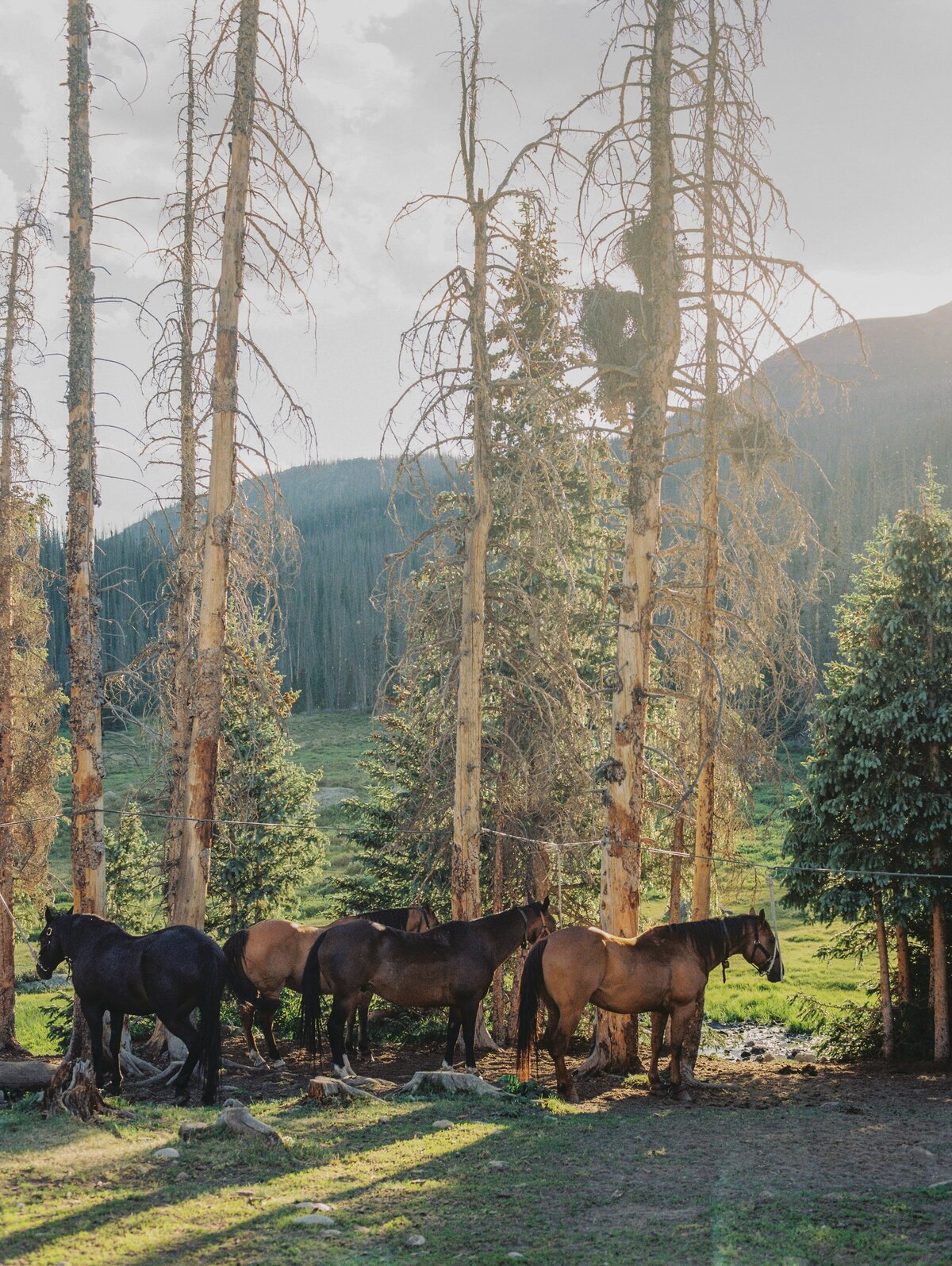 WEB SIZE Weminuche Wilderness Pack Trip - Kaitlyn Stoddard-1