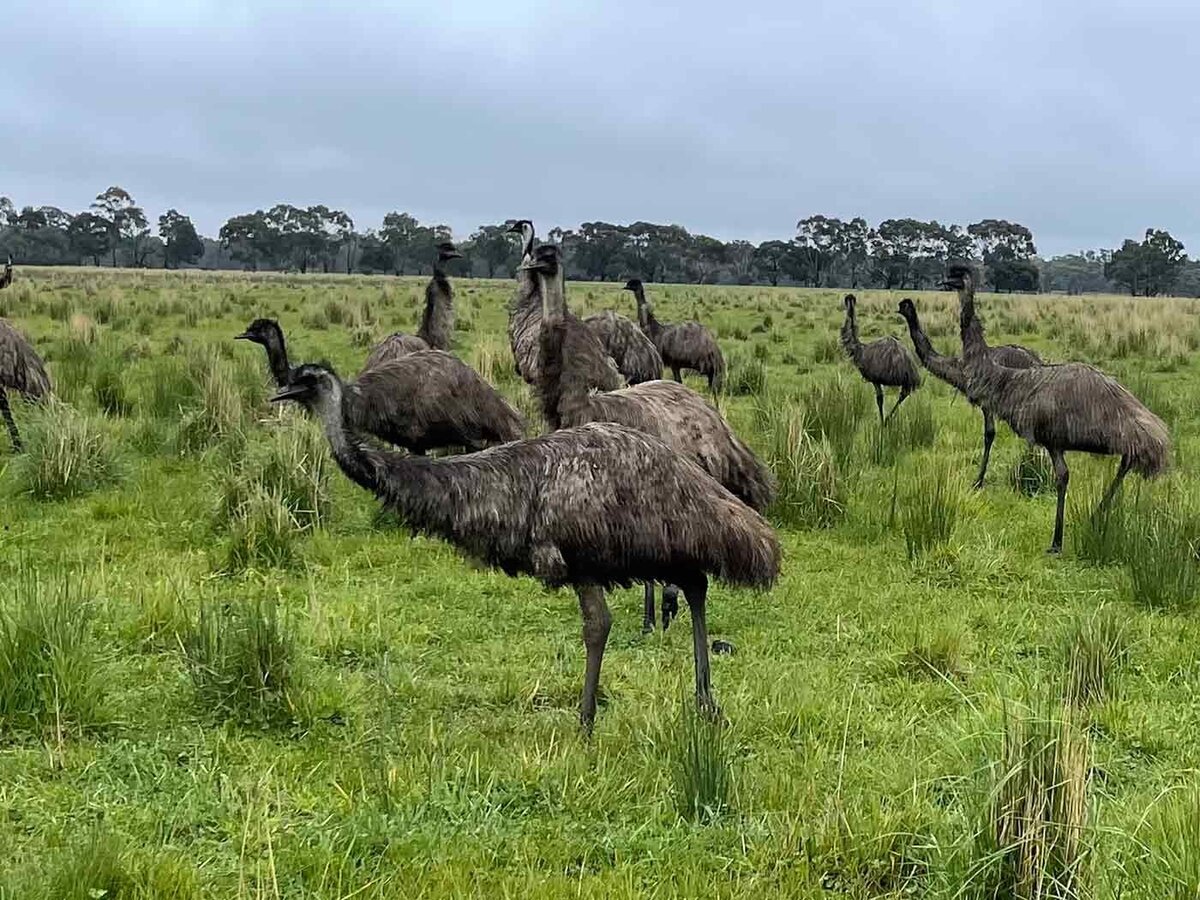 farming for conservation