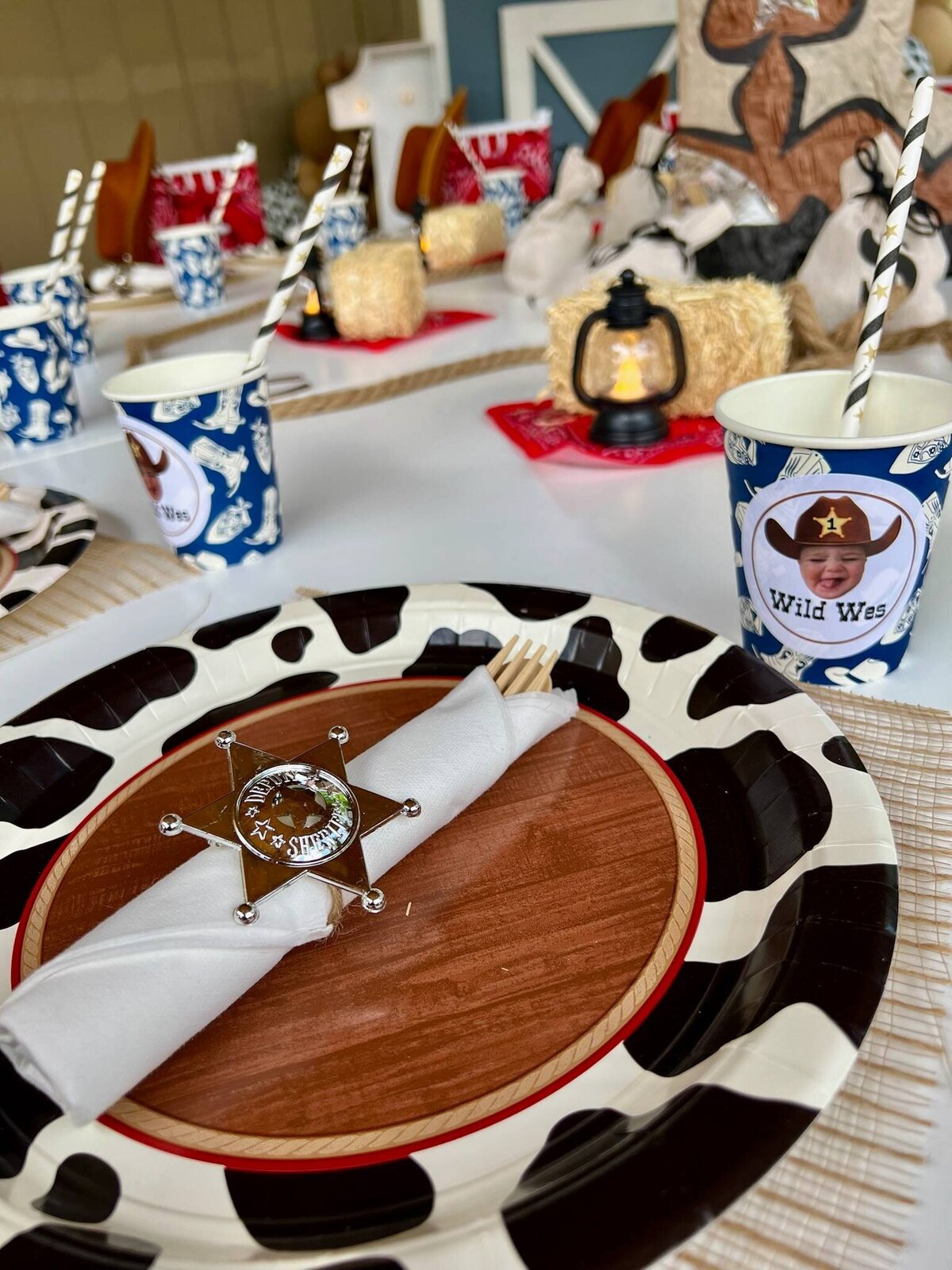 cowboy-farm-themed-party-kids-erie-co (11)
