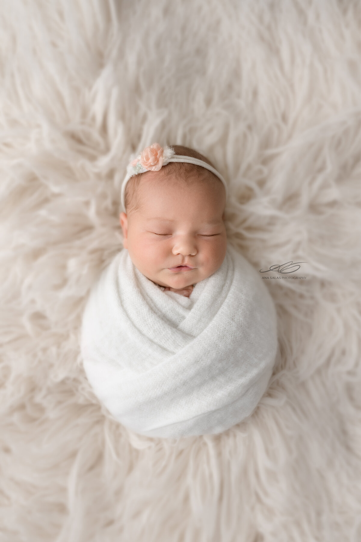 Edmonton Newborn Photography white cool toned aesthetic baby picture