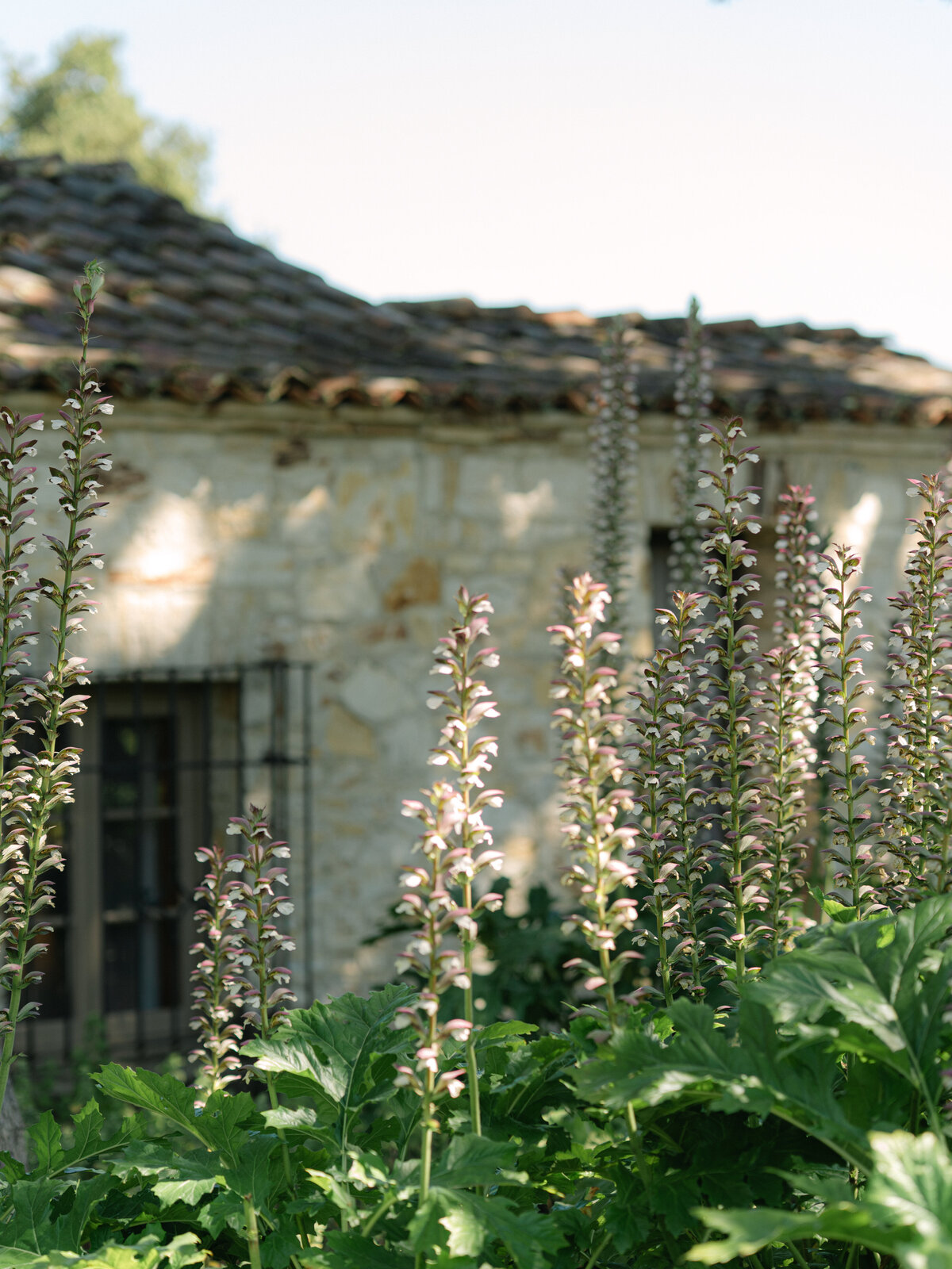 california-wedding-photographer-342