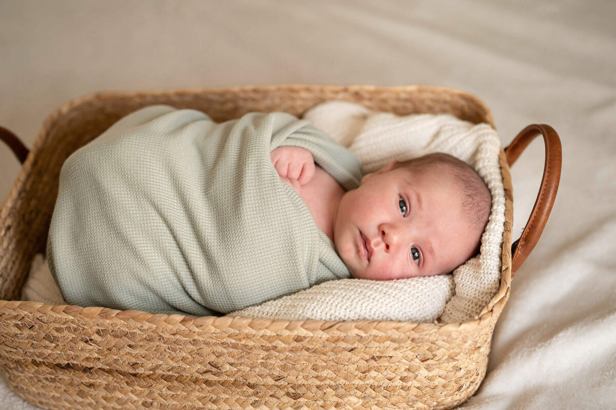 Baby in a basket looking at the camera while getting his newborn photos taken by Kim Pickett
