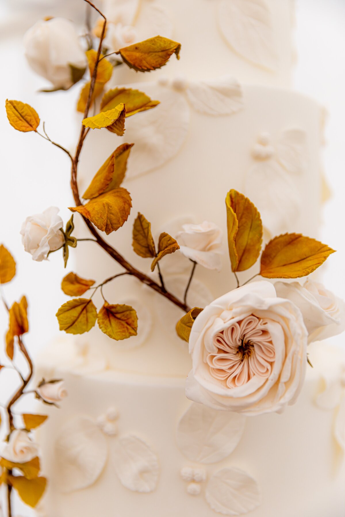 TellurideWeddingPhotographer-AbieLivesayPhotography-SoireeTellurideWeddingPlanner-LaurieJon-106