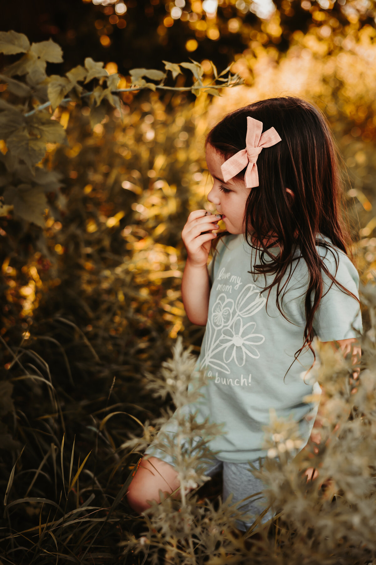 Nature photography - Amanda Nicholle Photography