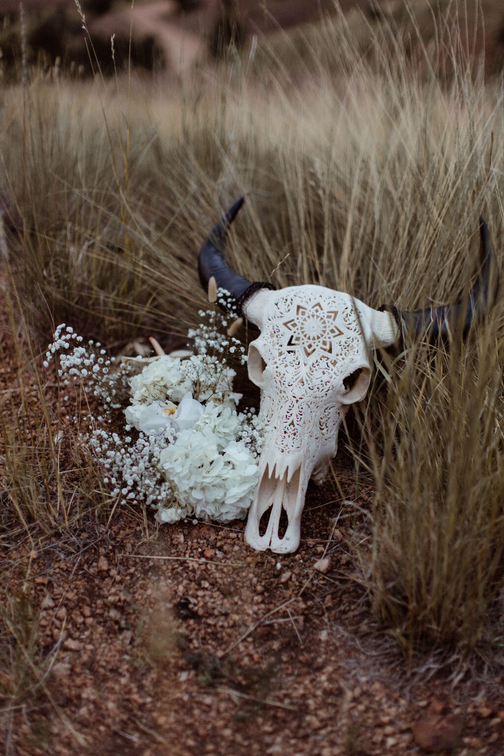 denver-elopement-photographySantinaandChristianPikesPeakRanchColoradoSpringsWeddingElopementPhotographerDenver-339