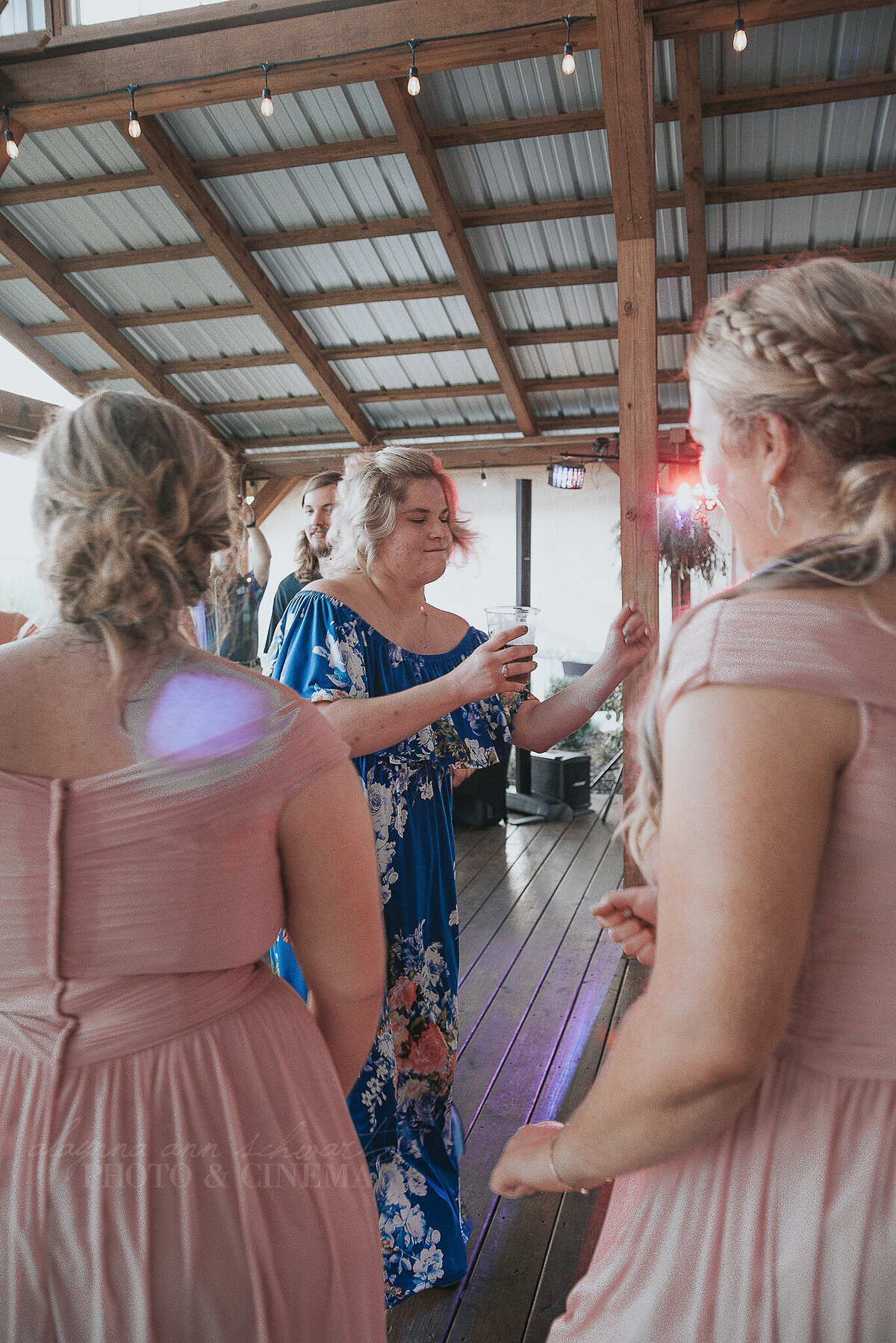 reception _ alaynna ann schwartz _ harpors vinyard _ iowa photographer _ playlife photography_0622