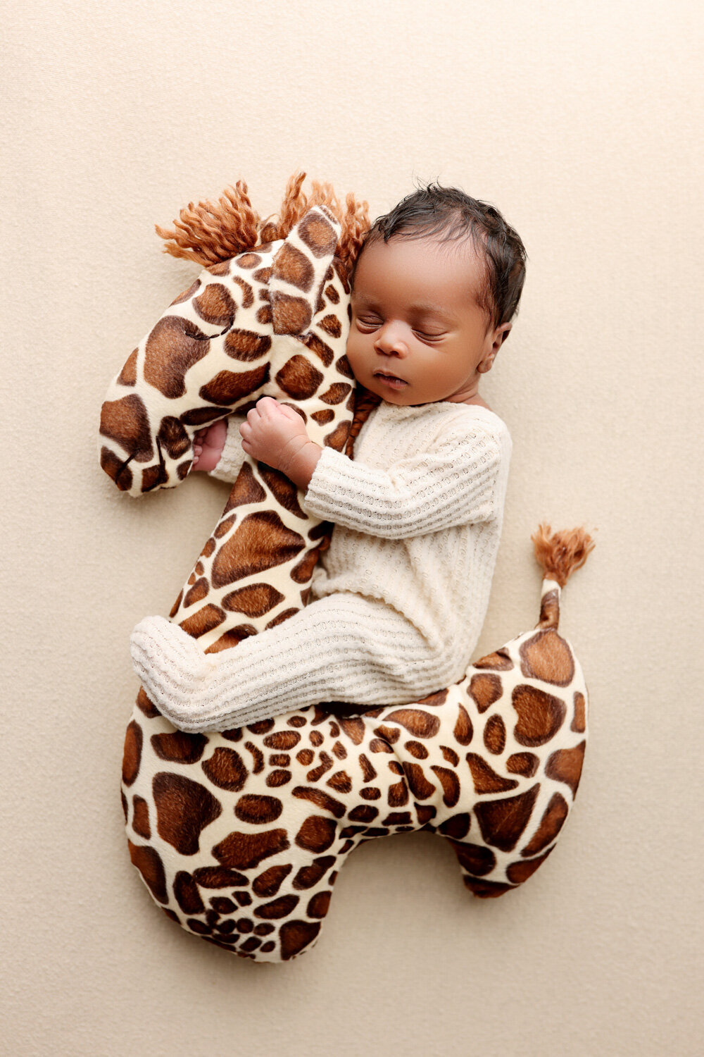 charlotte_newborn_Giraffe