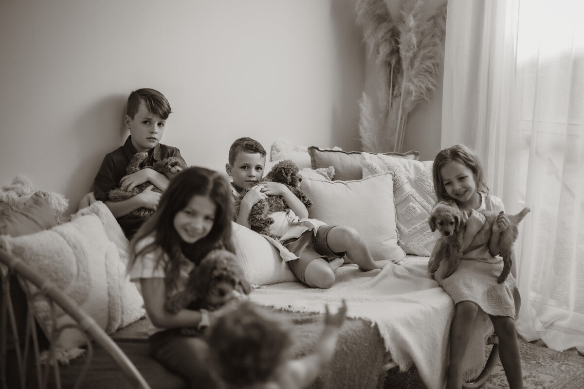 the-lifestyle-phodographer-perth-family-pet-photographer-litter00009