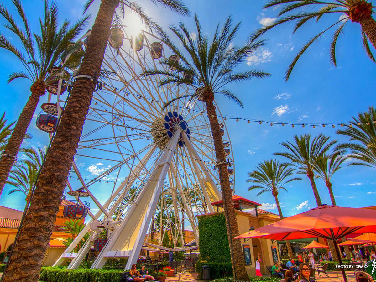 orange-county-california-100-things-to-do