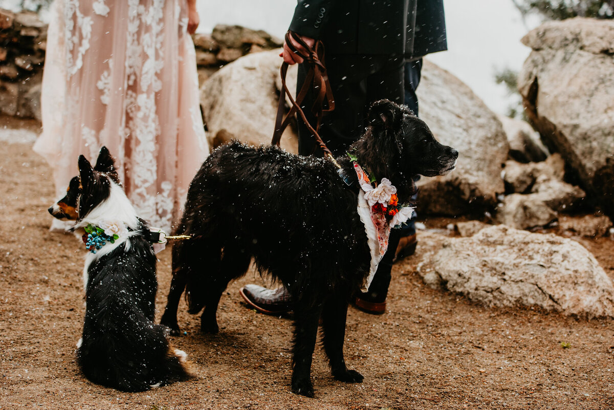 Tony + Andrea Elopement_Ceremony-17