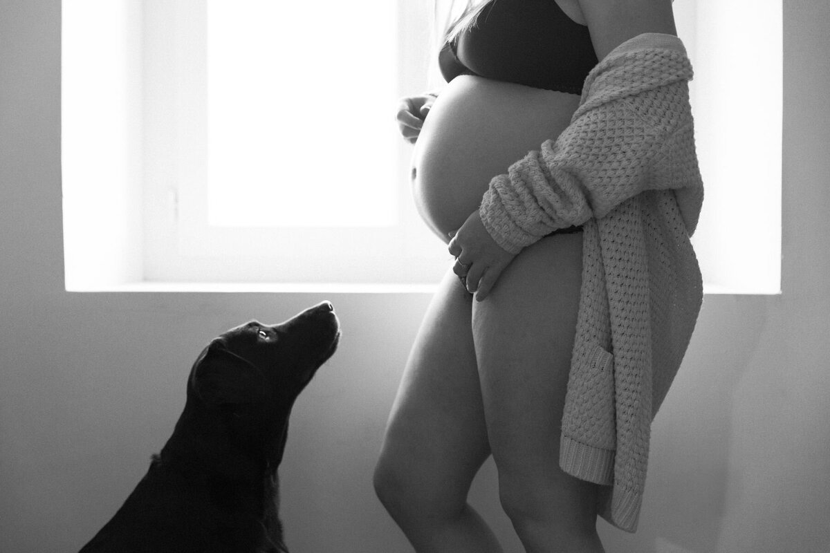 photographie d'une femme enceinte et son chien pendant une séance photo grossesse à la tour du pin en isère. Photographie par Manon Douillet Studio Sensigraphie